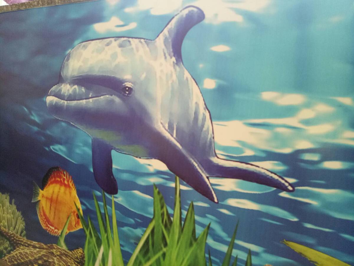Dolphin Castle Bed & Breakfast Donggang Bagian luar foto